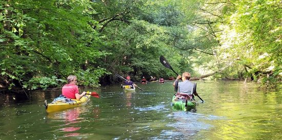 Quelle: Itzehoer-Wasser-Wanderer, Andre Zimmer mehrere Kanufahrer*innen bei Sonnenschein auf Flusslauf