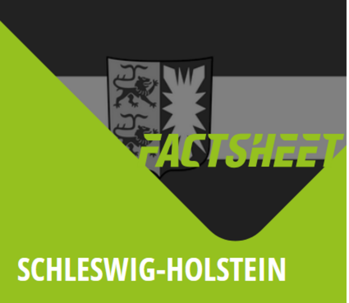 Logo Factsheet Schleswig-Holstein