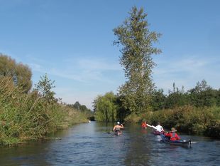 https://www.itzehoer-wasser-wanderer.de/